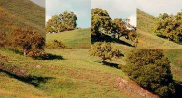 这是测试商品10