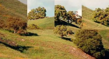 这是测试商品10